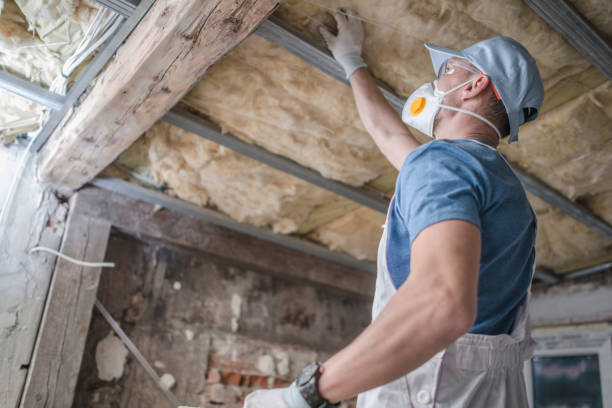 Best Commercial Insulation in Gretna, FL